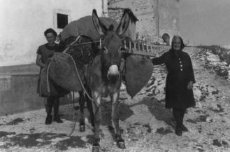 Le foto di Terranera - La Semara de Zi Antonina