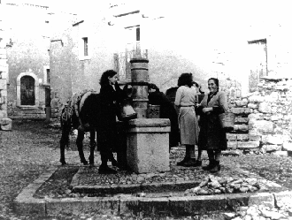 Le foto di Terranera - La Fontana