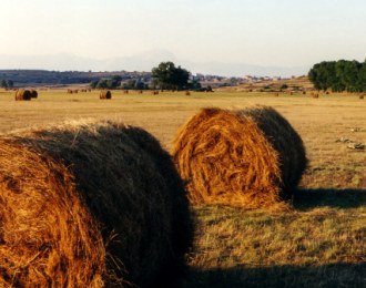 Le foto di Terranera - Panoramica Agosto