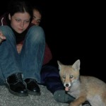 Le foto di Terranera - Roberta e la volpe