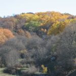 Le foto di Terranera - I colori dell'autunno