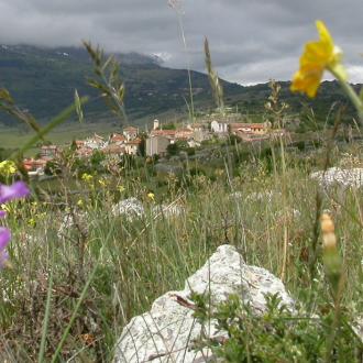 Le foto di Terranera - Primavera con nevicata