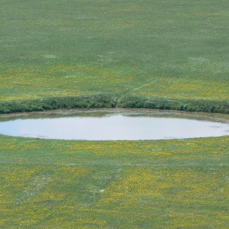 Le foto di Terranera - Pozzo Caldaio in primavera