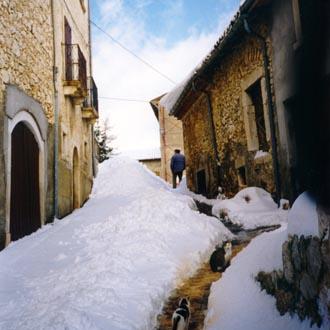 Le foto di Terranera - Montale