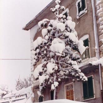 Le foto di Terranera - Pino portella