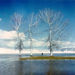 Le foto di Terranera - I tre alberi