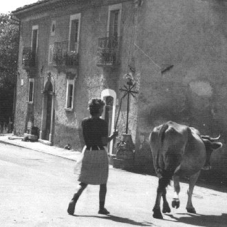 Le foto di Terranera - Spaccato di vita