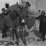 Le foto di Terranera - La Semara de Zi Antonina