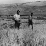 Le foto di Terranera - Emilio e Nunzio alle Prata