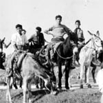Le foto di Terranera - A cavallo
