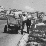 Le foto di Terranera - Il carretto