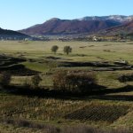 Le foto di Terranera - 
