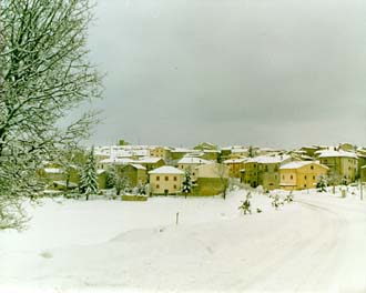 Le foto di Terranera - Terranera