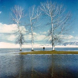 Le foto di Terranera - I tre alberi