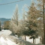 Le foto di Terranera - Fine inverno...