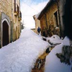 Le foto di Terranera - Montale