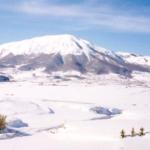Le foto di Terranera - Monte Rotondo