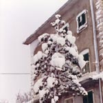 Le foto di Terranera - Pino portella