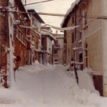 Le foto di Terranera - Portella
