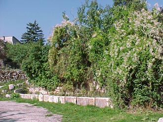 Le foto di Terranera - Fontanile